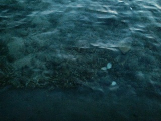 (untitled)